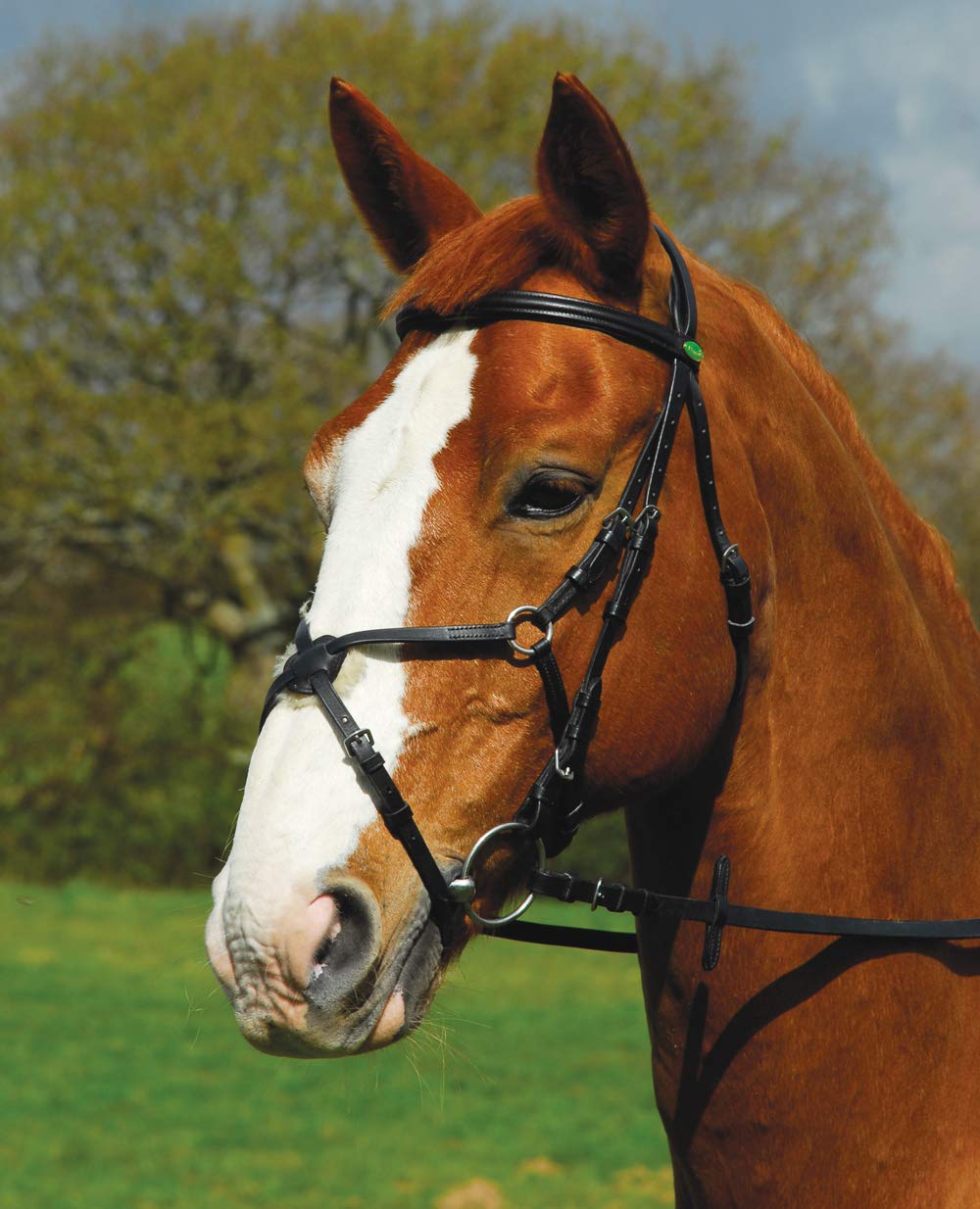 Rhinegold Comfort Mexican Noseband Bridle - Cob - Black