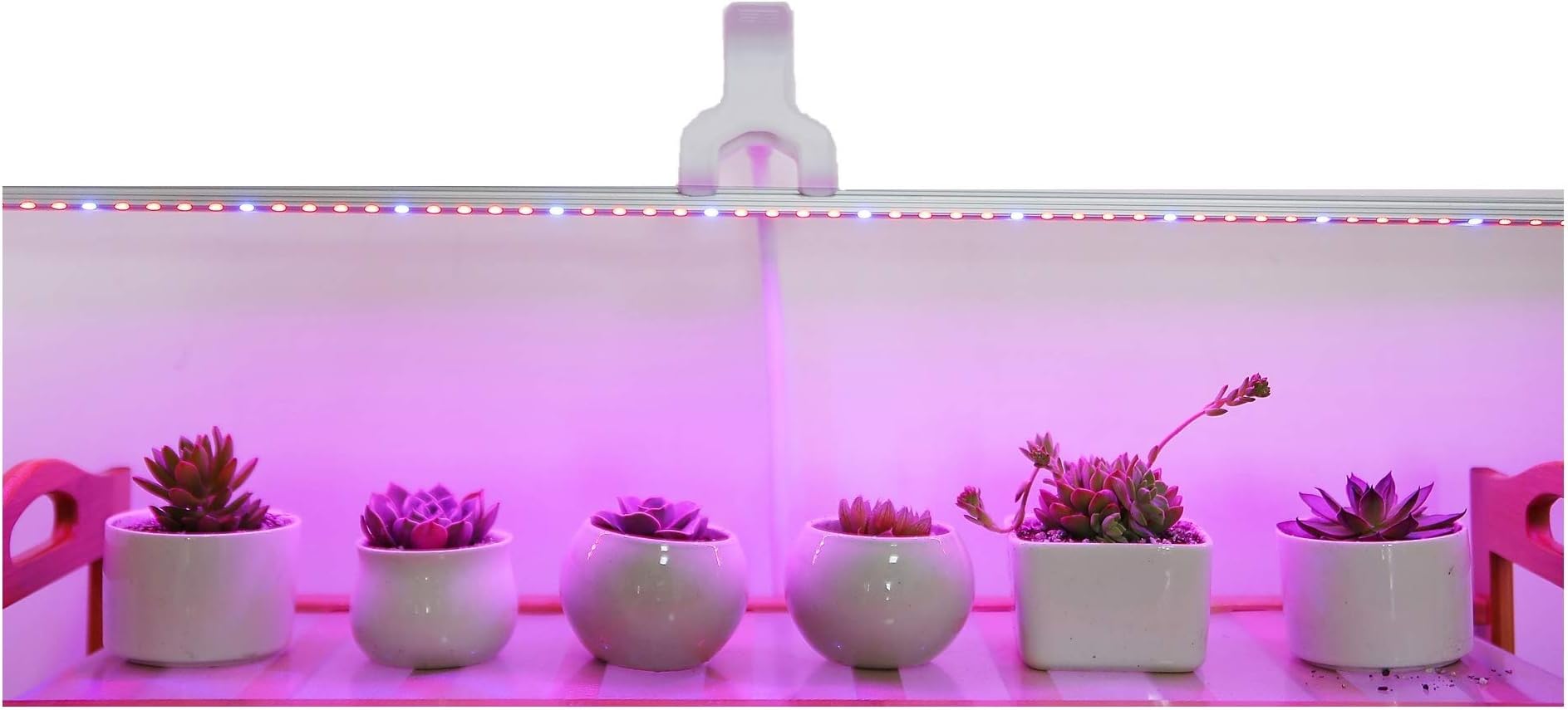 Led Grow Light Ledy 3.2ft 5050 Waterproof Flexible Soft Strip Grow Light for Plant Flower Seeds Seedlings Growing Red Blue 4:1 with DC 12V 2A Adaptor