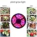 OUEVA Plant Grow LED Light, 16.4ft/5M 5050 SMD Waterproof Full Spectrum Red Blue 5:1 Growing Lamp for Aquarium Greenhouse Hydroponic Plant, Garden Flowers Veg Grow Light (No Power Adapter/Plug)