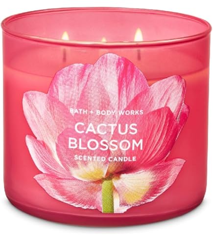 Amazon.com: White Barn 3 Wick Candle 14.5 Ounce, Cactus Blossom : Home &  Kitchen