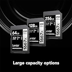 Lexar 256GB Professional 1667x SDXC Memory