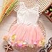 Kids Girls Princess Rose Garden Flower Petal Lace Ruffled Tulle Skirts Dresses (#6(Advice6-12Months), pink.)