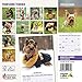 Yorkshire Terrier 2018 Mini Calendar
