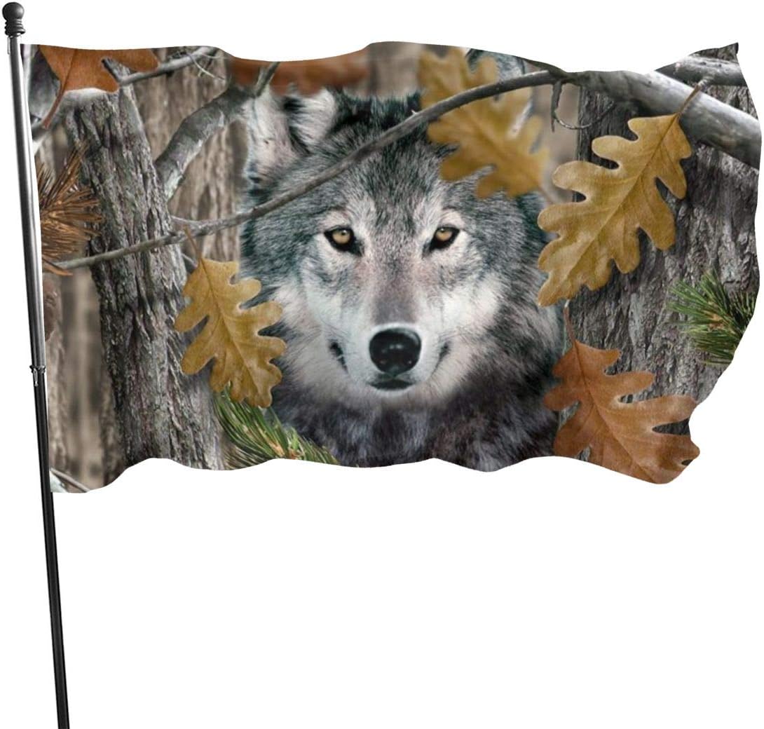 Französische Bulldogge Gartenflagge 60x91cm - Lustige Tier Flagge Für Drinnen & Draußen