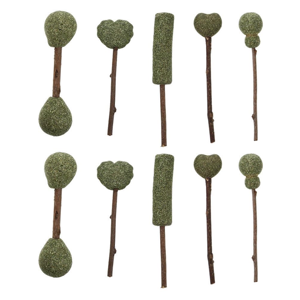 FOMIYES Dental Care Stick 10pcs Catnip Cat Teaser Rotatable Catnip Lollipop