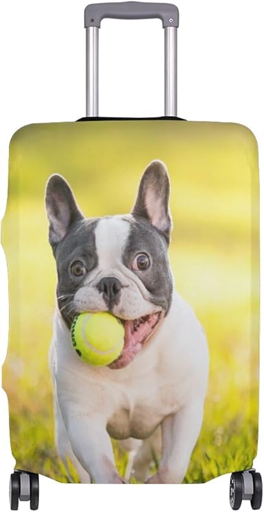 french bulldog suitcase