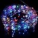HAHOME Waterproof Led String Lights,33Ft 100 LEDs Indoor and Outdoor Starry Lights with Power Supply for Christmas Wedding and Party Decoration,RGB
