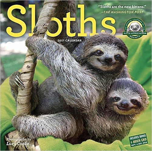 Sloths Wall Calendar 2017, by Lucy Cooke