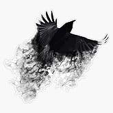 The Black Crow Vinyl Waterproof Sticker Decal Car Laptop Wall Window Bumper Sticker 5
