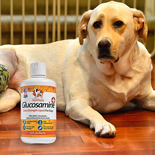 Glucosamine Chondroitin MSM For Senior Dogs Arthritis Pain Relief 32oz