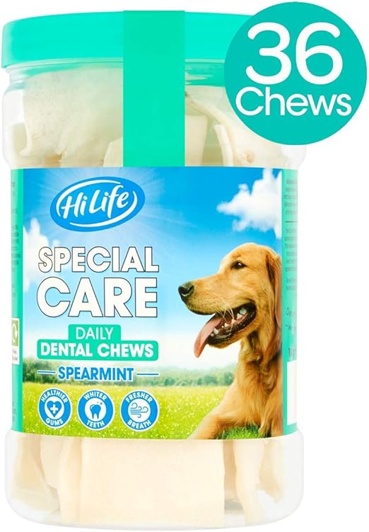 doberman gold collar