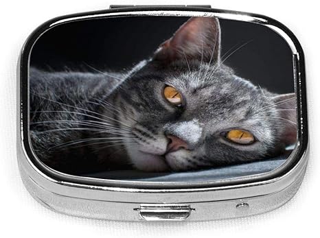 Amazon Co Jp かっこいい ねこ 猫柄 ピルケース 薬入れ ケース ミニボックス錠剤 薬箱 密閉 耐湿 長方形 小物入れ 指輪 ネックレス 紐 ネジ 収納ケース ホーム キッチン