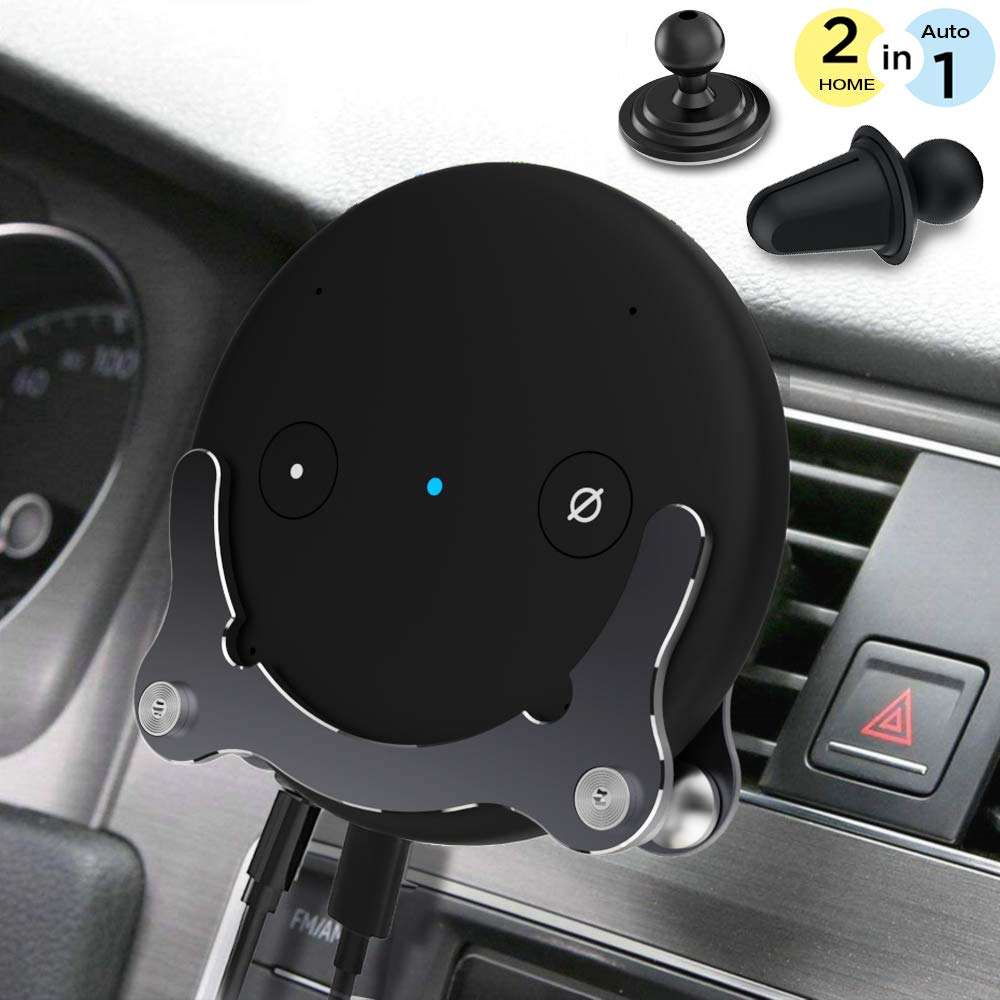 echo input in the car