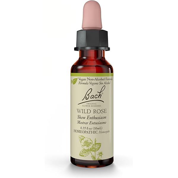 Amazon.com: Bach Original Flower Remedies, Wild Rose - Show