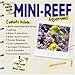 The Simple Guide To Mini-reef Aquariums by Jeffrey Kurtz