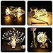 Onforu 2 Pack LED String Lights, 8 Modes Dimmable with Remote Control, Battery Operated Hanging Starburst Lights, IP65 Waterproof, Decorative Copper Wire Lights for Parties(Warm White)