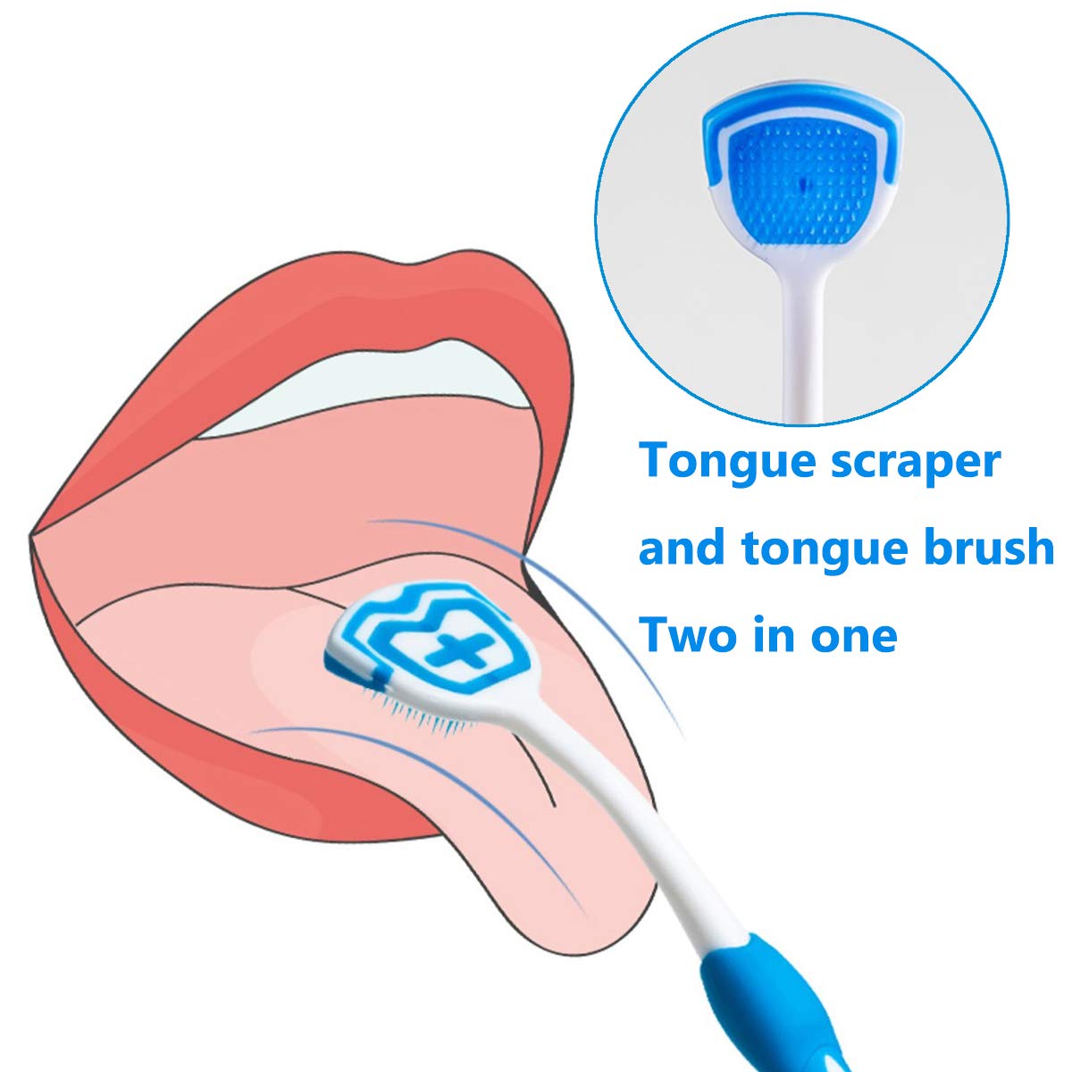Tongue Brush, Tongue Scraper, Tongue Cleaner Helps Fight Bad Breath, Professional Tongue Brush for Freshing Breath, 2 Tongue Scrapers - 2 Pack (Blue + Green) : Beauty