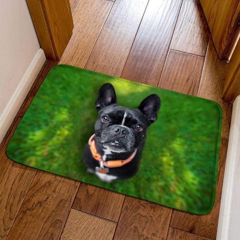 sdfdsfsdf Doorway floor mats carpet home nonslip living room floor