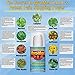 Best Pain Relief Cream. Professional Strength Anti Inflammatory Treatment. Nine Potent Power Packed Pain Relieving Ingredients Give You Fast Relief for All Muscle & Joint Pain. by MyoMed PRO 3.5oz.
