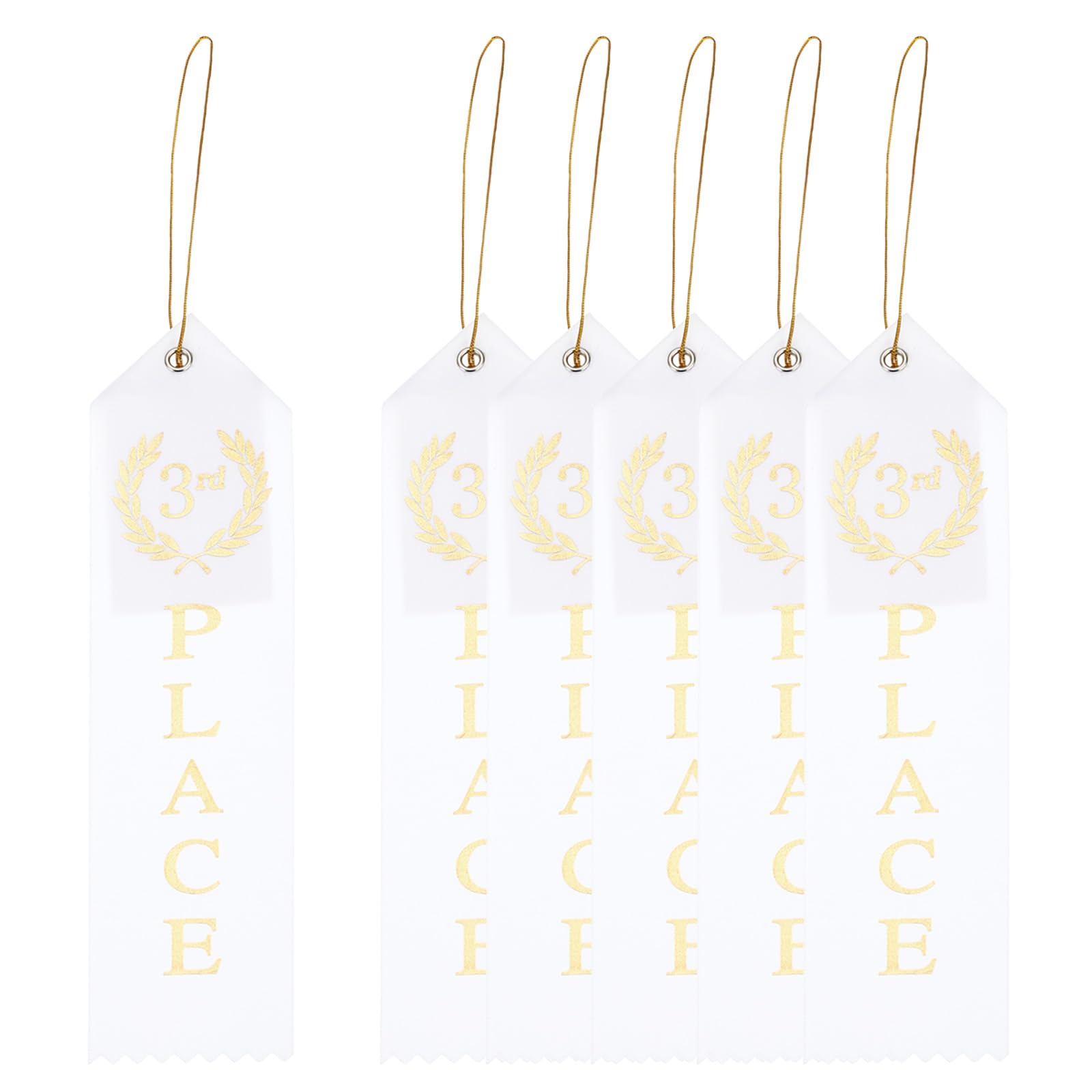 PATIKIL Award Ribbons, 6 Pcs 3rd Winner Ribbons with Even Card and Rope Achievement Ribbons for Competition Sport Even, White