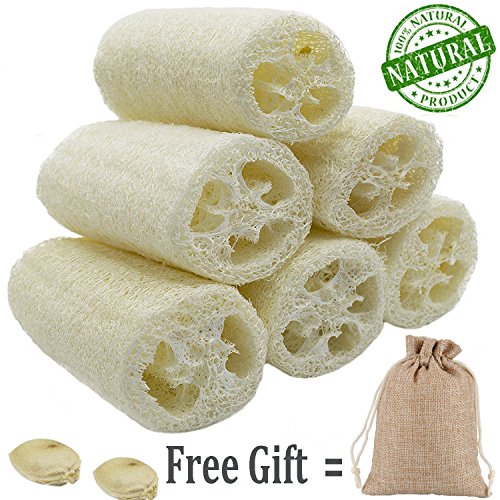 100% Natural 6 Pack of 4 inch Loofahs, ZUEXT SPA Exfoliating Scrubber for Skin Care in Bath, Best Luffa Body Scrub Sponge, Remove Dead Skin