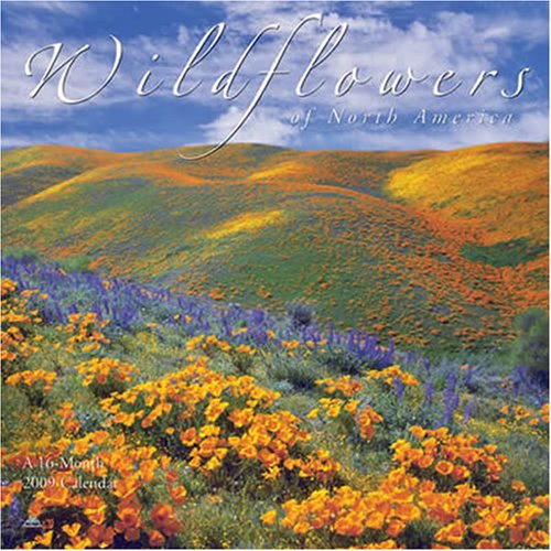 Wildflowers 2009 Calendar