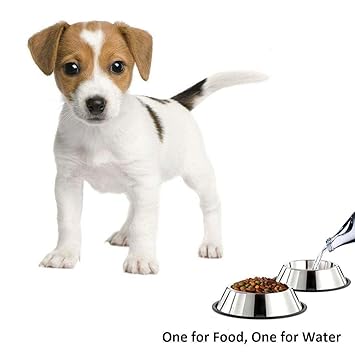 Pets Empire Set Of 2 Stainless Steel Feeding And Water Bowl With Rubber Base For Cats Dogs, Small Pets 250Ml