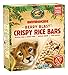 Nature’s Path EnviroKidz Berry Blast Crispy Rice Bars, Healthy, Organic, Gluten-Free, Peanut Free, 6 Ounce Box (Pack of 6)