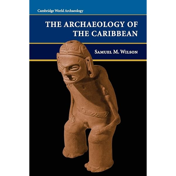 Amazon.com: Archaeology, Society and Identity in Modern Japan