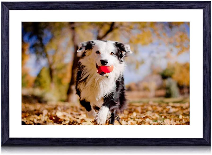 Amazon Co Jp 70cmx50cm 木製の黒色のフォトフレーム ボーダーコリー犬のボールの葉秋の気分 壁掛け 壁飾り 壁ポスター おしゃれ ウォールアート アートパネル 壁の絵 インテリア絵画 額縁 部屋飾り 装飾画 ホーム キッチン