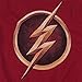 The Flash Distressed Logo T Shirt & Exclusive Stickers