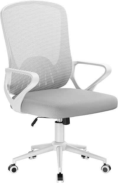 nasPaluro Ergonomic Computer Desk Chair with 3D Lumbar Support Gray