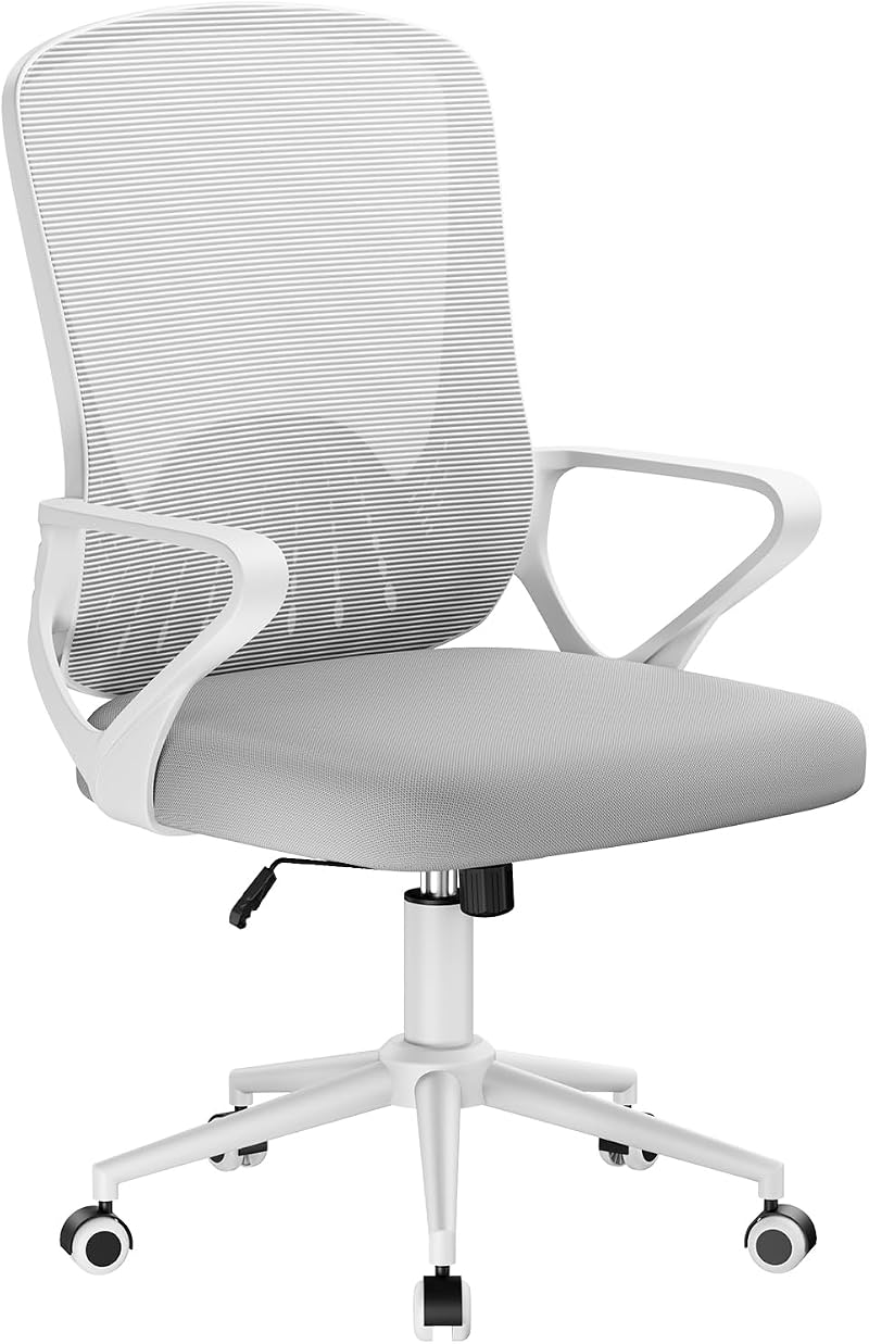 nasPaluro Ergonomic Computer Desk Chair with 3D Lumbar Support Gray