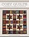 Cozy Quilts: A Charming Blend of Wool Applique and Cotton Patchwork by 