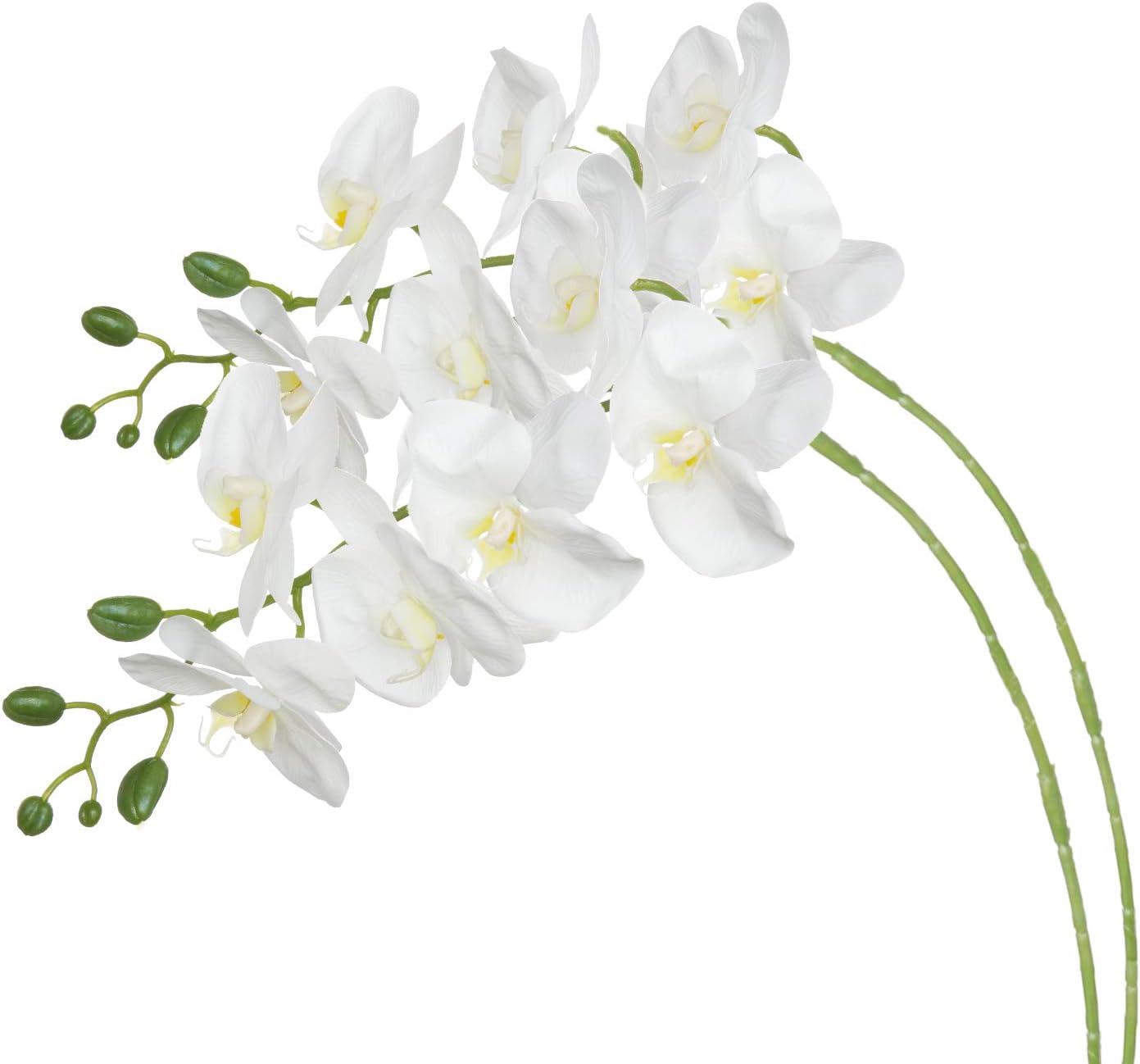 Royal Imports Artificial Orchids Phalaenopsis Flowers, Tall Stems, Looks Real, Soft Touch for Home Office Wedding Party Arrangement Decoration, White (2 Pcs)