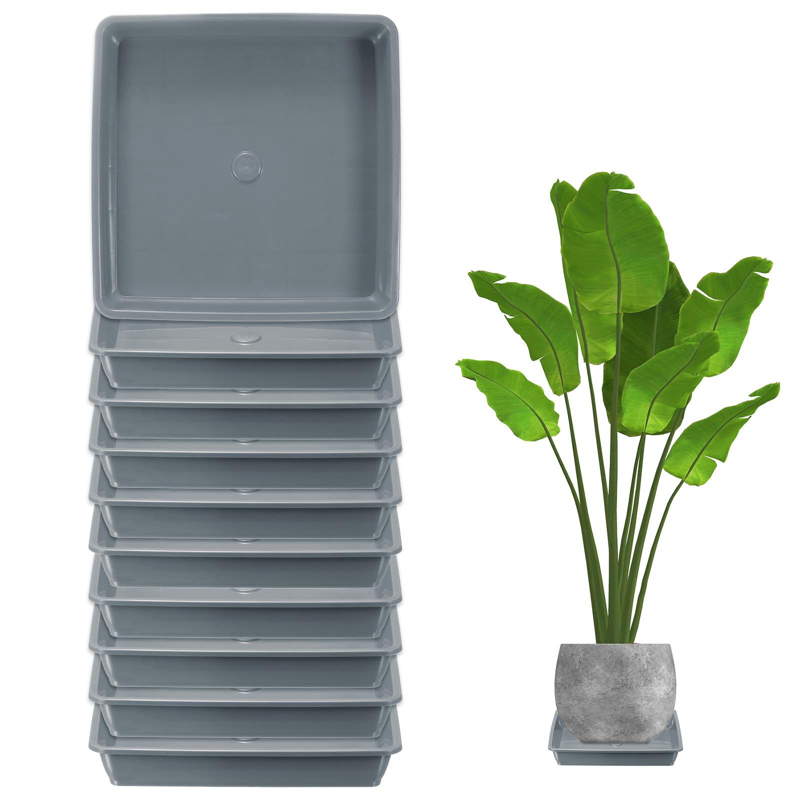 M METERXITY 10-Pack Plant Pot Saucers, 6 Inch 15cm Plastic Square Flower Drip Tray, Pot No Holes Durable Plant Trays for Pots Base Indoors/Outdoors Plants [Cement Gray]