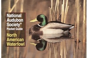 National Audubon Society Pocket Guide: North American Waterfowl
