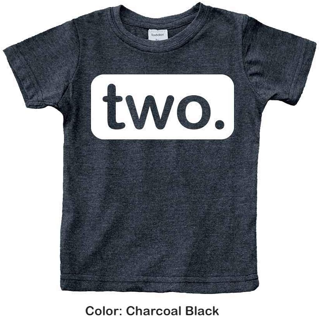 2nd Birthday Shirt boy 2 Year Old Toddler Kids Outfit Second Two t-Shirt Party: Clothing