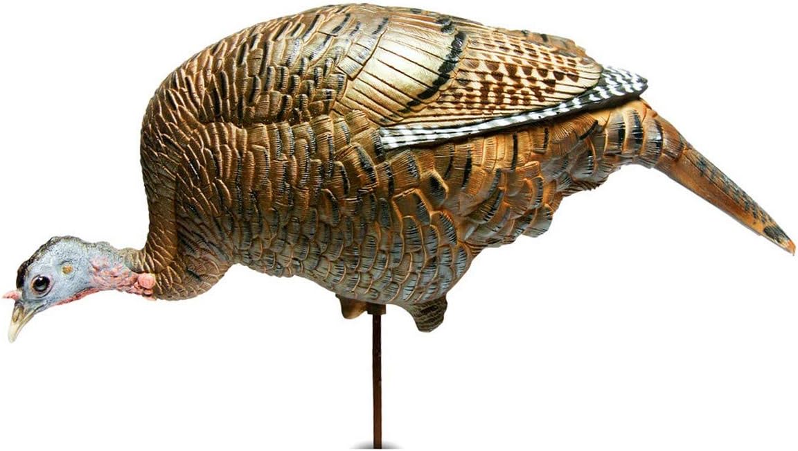 DSD Feeding Hen Turkey Decoy