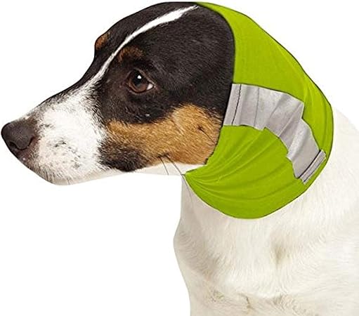dog collar shield