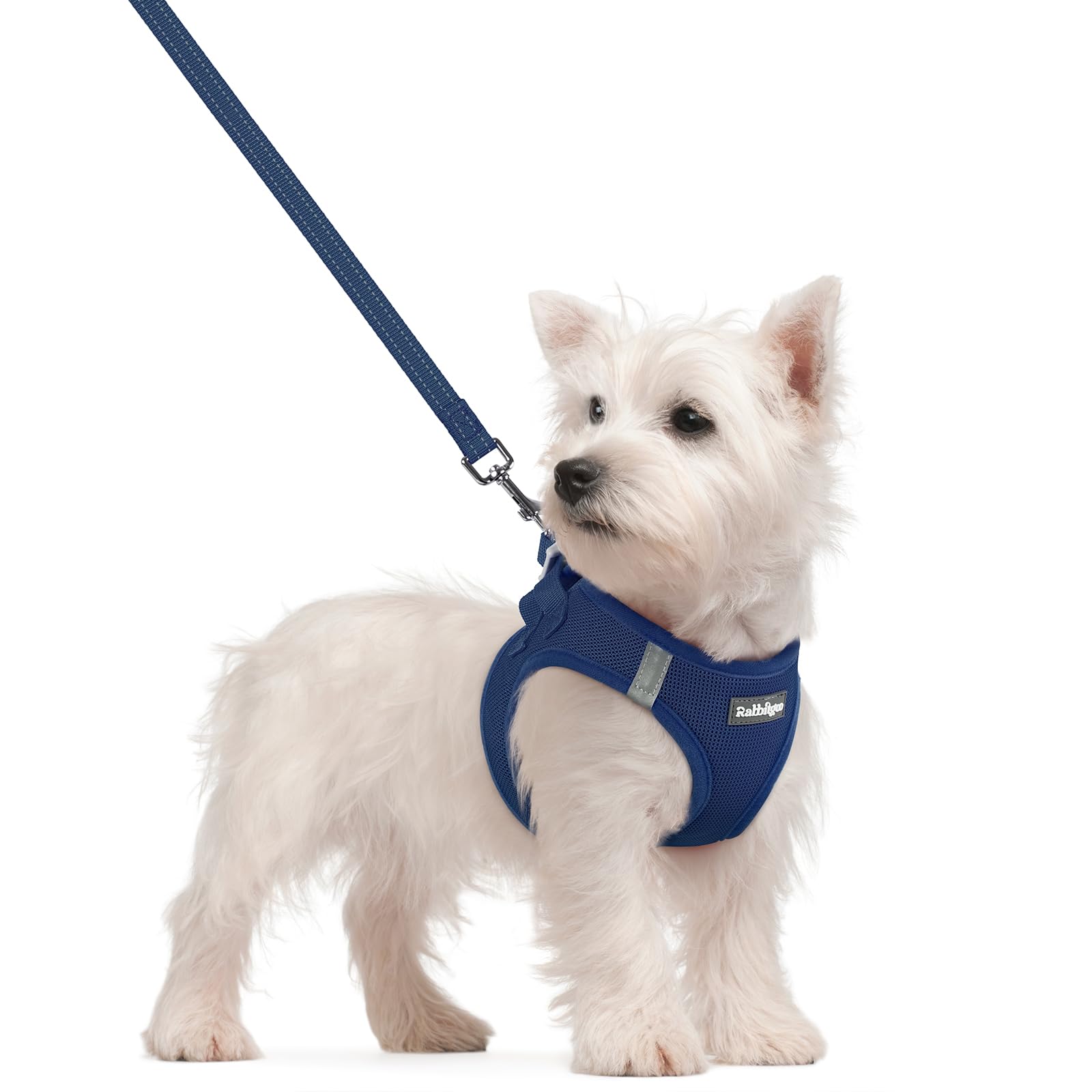 Photo 1 of rabbitgoo Dog Harness Small Sized and Leash Set, Step in Soft Light Puppy Vest, Breathable Mesh Pet Harness, Reflective for Safe Outdoor Walking, Navy Blue S