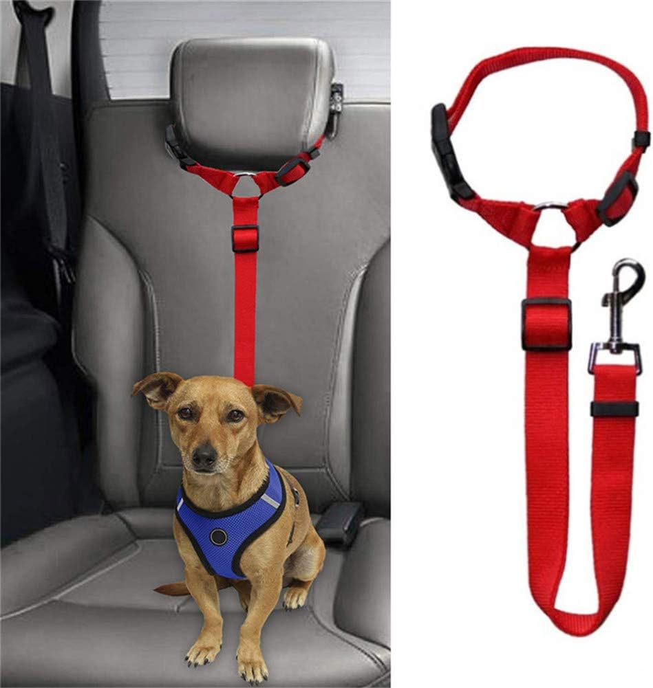 dog car belt