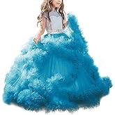 Stunning V-Back Luxury Pageant Tulle Ball Gowns for Girls 2-12 Year Old