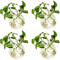 NUPTIO Wall Hanging Planters Terrarium: 4Pcs Clear Glass Wall-Mounted Vases for Indoor Office Garden Living Room - Oblate Pla