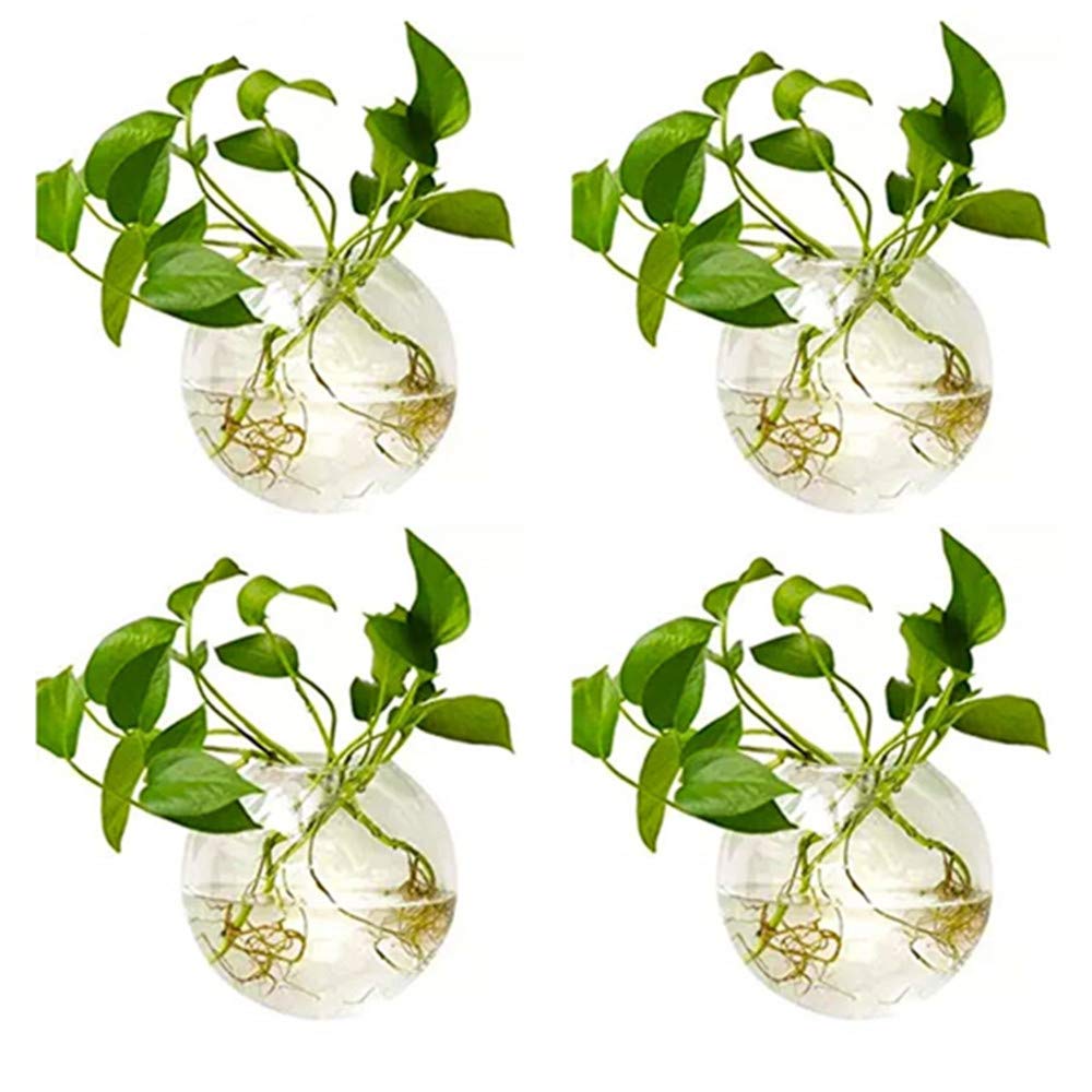 NUPTIO 4 Pcs Wall Hanging Glass Planters 10cm Diameter Round Glass Plant Pot - Water Planting Vases Air Flower Vase Plant Terrariums Plant Container