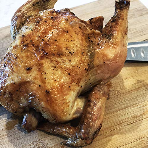 Ergo Chef USA MY AIR FRYER Large 5.8-Quarts Electric Air Fryer XL Powerful 1700 WATTS Includes 7 Accessories and Recipes