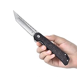 Kizer Begleiter Pocket Folding Knife, Tanto Blade