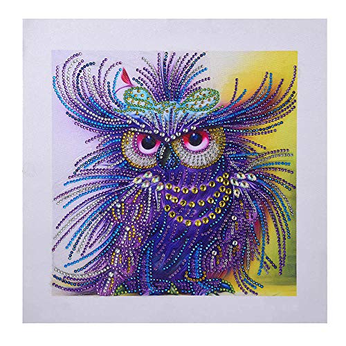 Staron  Newest 5D Diamond Painting Kits - Rhinestone Special Shaped 5D Drill Cross Stitch Craft Kits Picture Paint with Diamonds Home Wall Arts Decor Mosaic Making (Owl Style 2) - Thumbnail 5