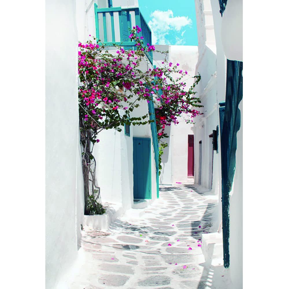 Aoihrraan 2,5x3m Greece Street Backdrop Spring Flowers Narrow Street Mediterranean Style Architecture Photography Background Wedding Decoration Children Adults Travel Portrait Photo Studio Props