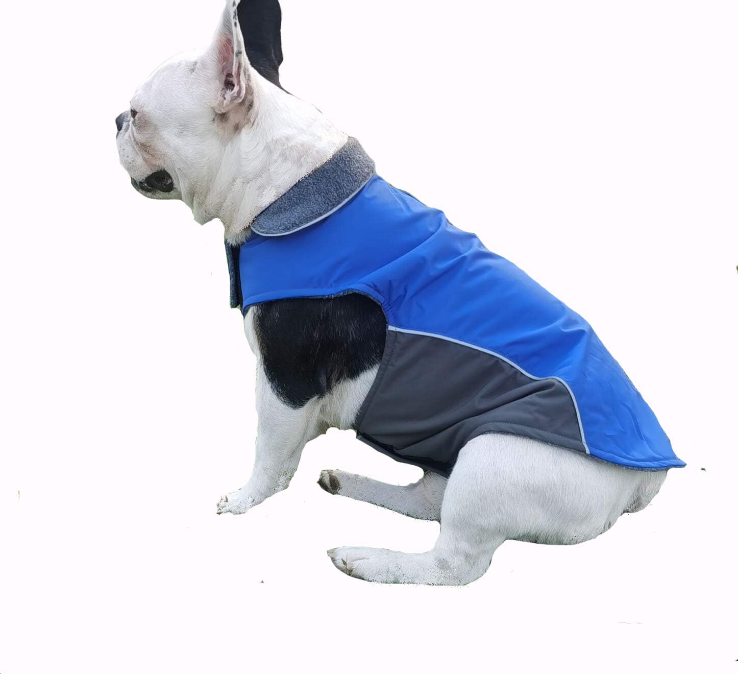 waterproof puppy coat